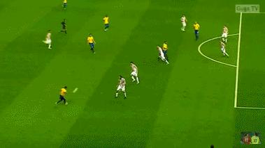 卡卡膝盖伤病,巴西球员卡卡的伤病