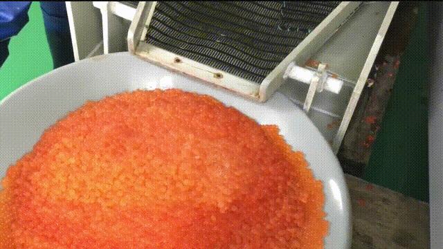 国内的假三文鱼是什么鱼,哪种才是真正的三文鱼