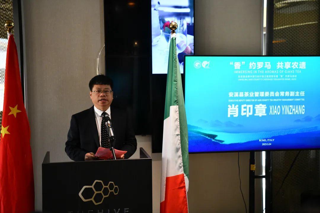 安溪古道铁观音,安溪隽山堂铁观音