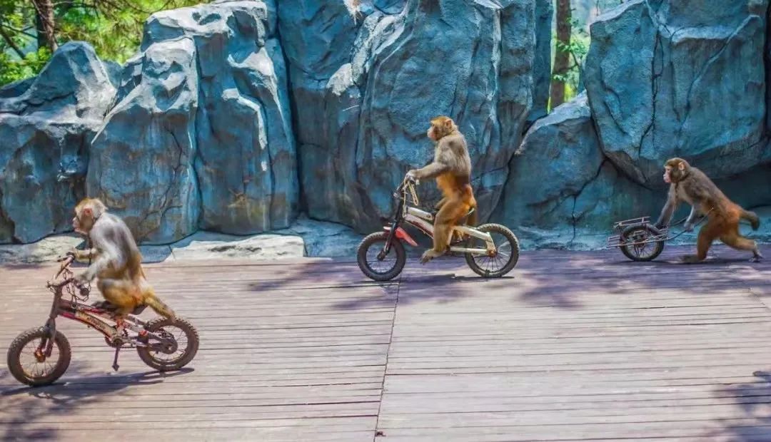 长沙亲近大自然周末遛娃的好地方,长沙石燕湖生态旅游景区门票