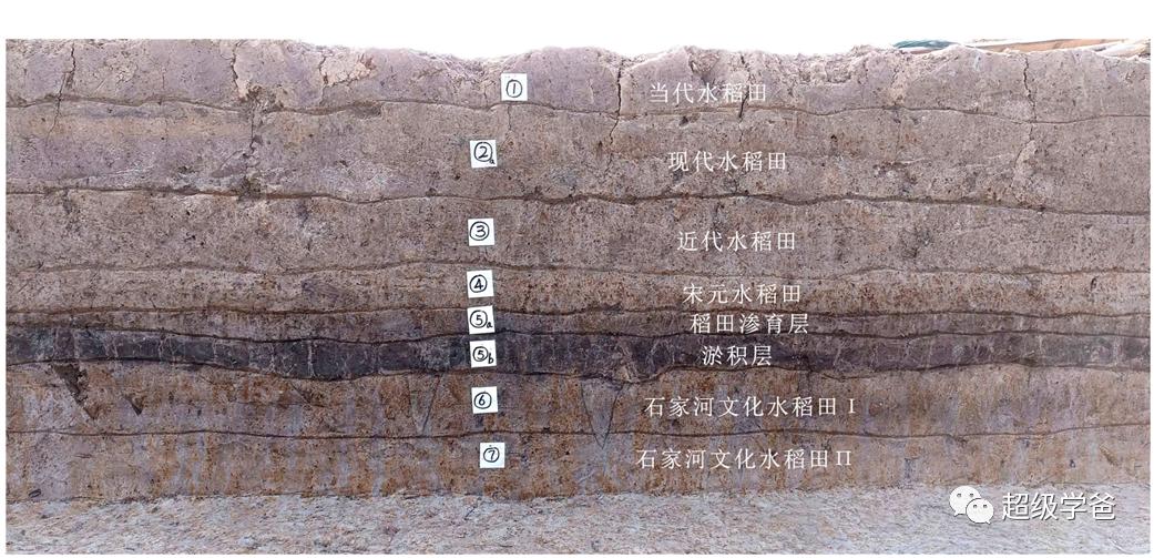 天灾与*祸人**，永远是我们的敌人