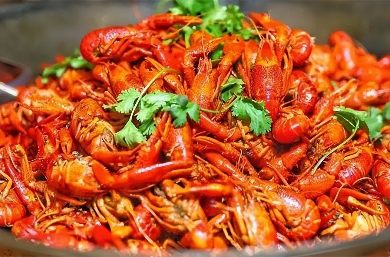 在农村养什么销路最好,在农村老家养什么能赚钱