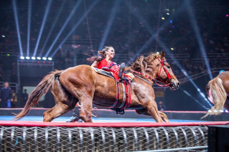 国际马戏小丑嘉年华天津,马戏小丑嘉年华怎么样