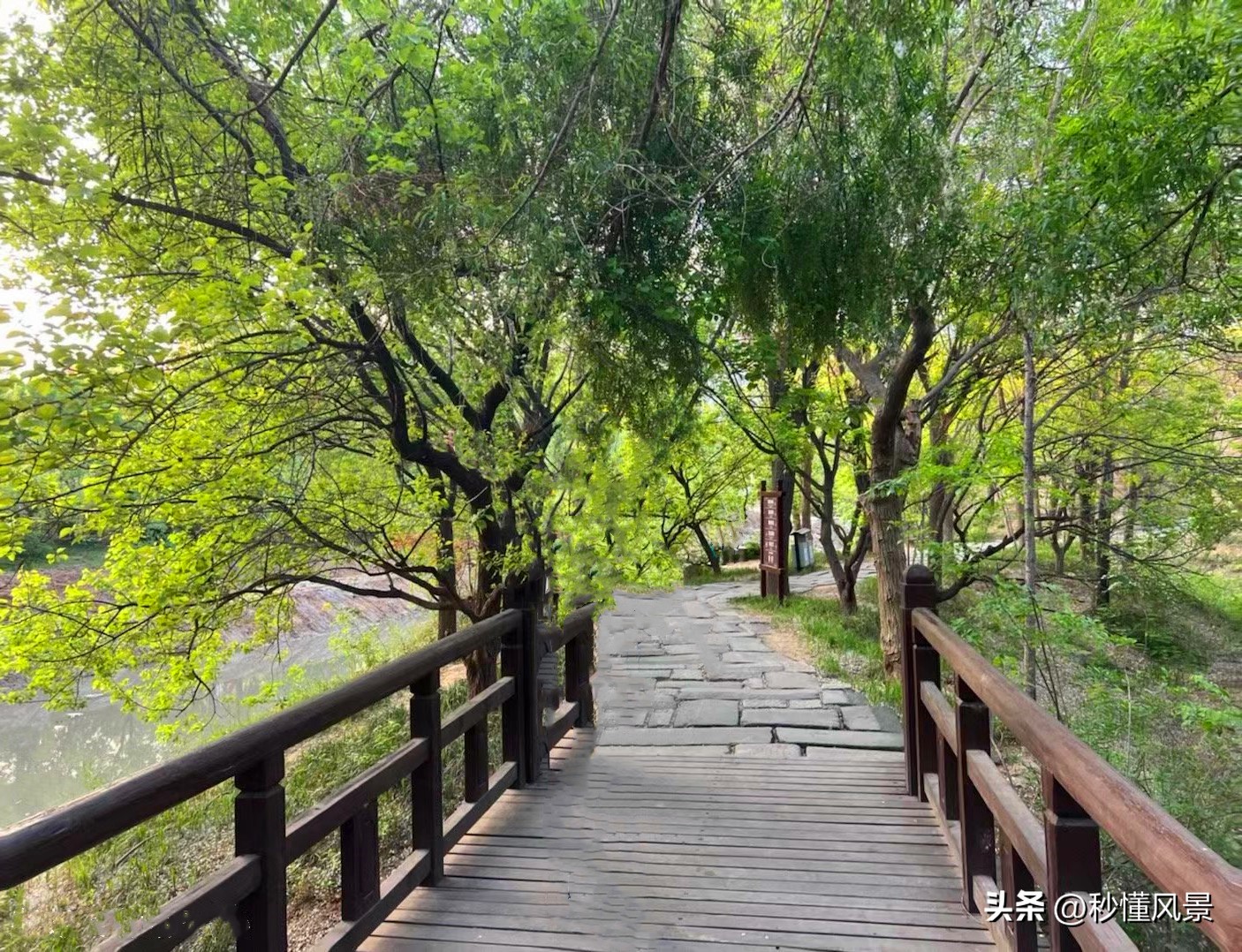 济南适合儿童玩耍的景点推荐,济南亲子游十佳去处