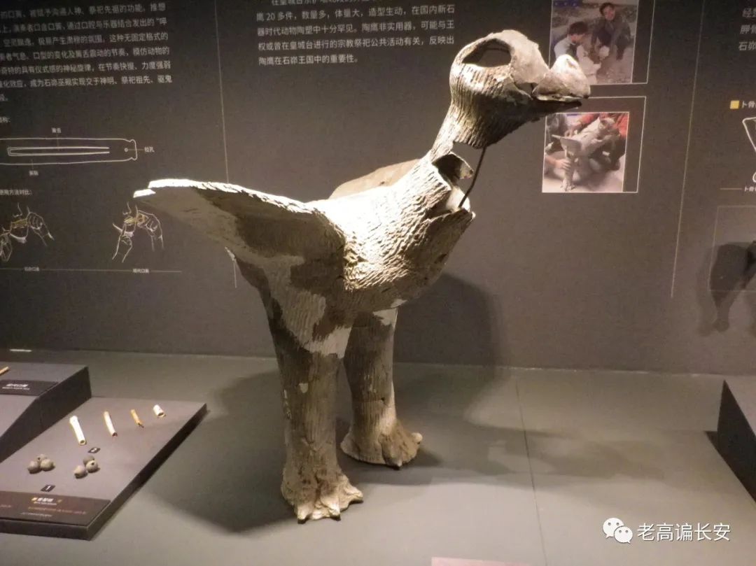 假期参观陕西考古博物馆,陕西考古博物馆开馆直播