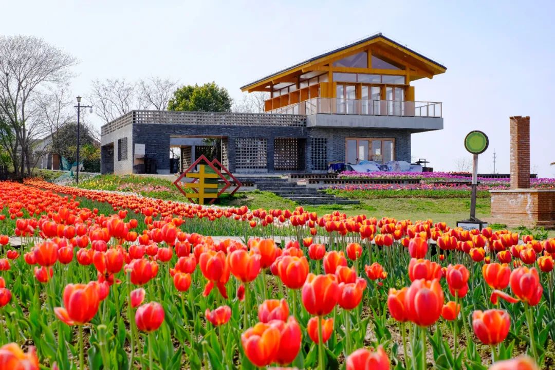 六朝古都旅游记录,六朝古都的金陵水乡