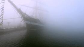 日本海盗汪直,海盗汪直怎么不一统日本