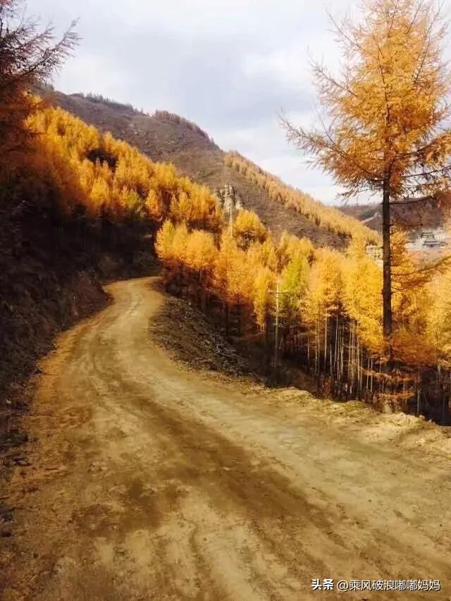 中国山西五台山佛教文化胜地,山西五台山全貌视频