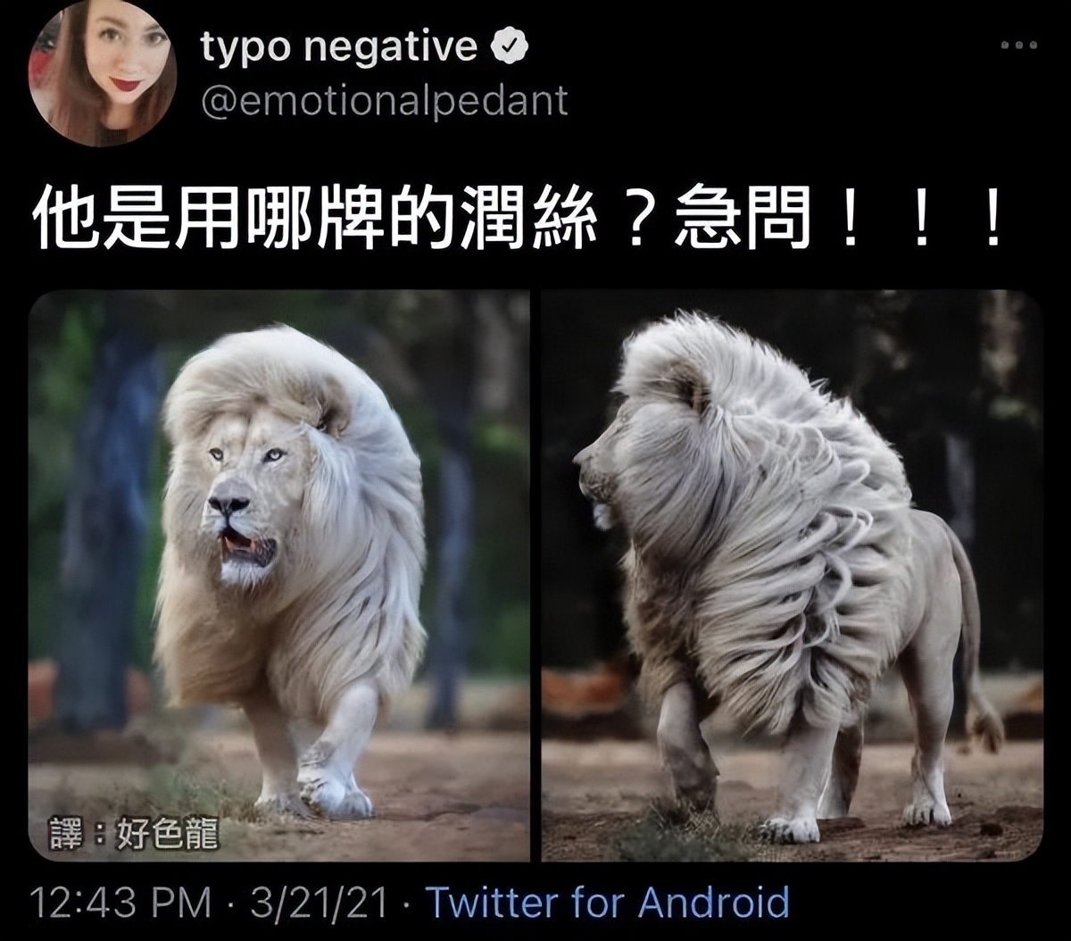 威尔·史密斯人生几大代表作|冷段子2111