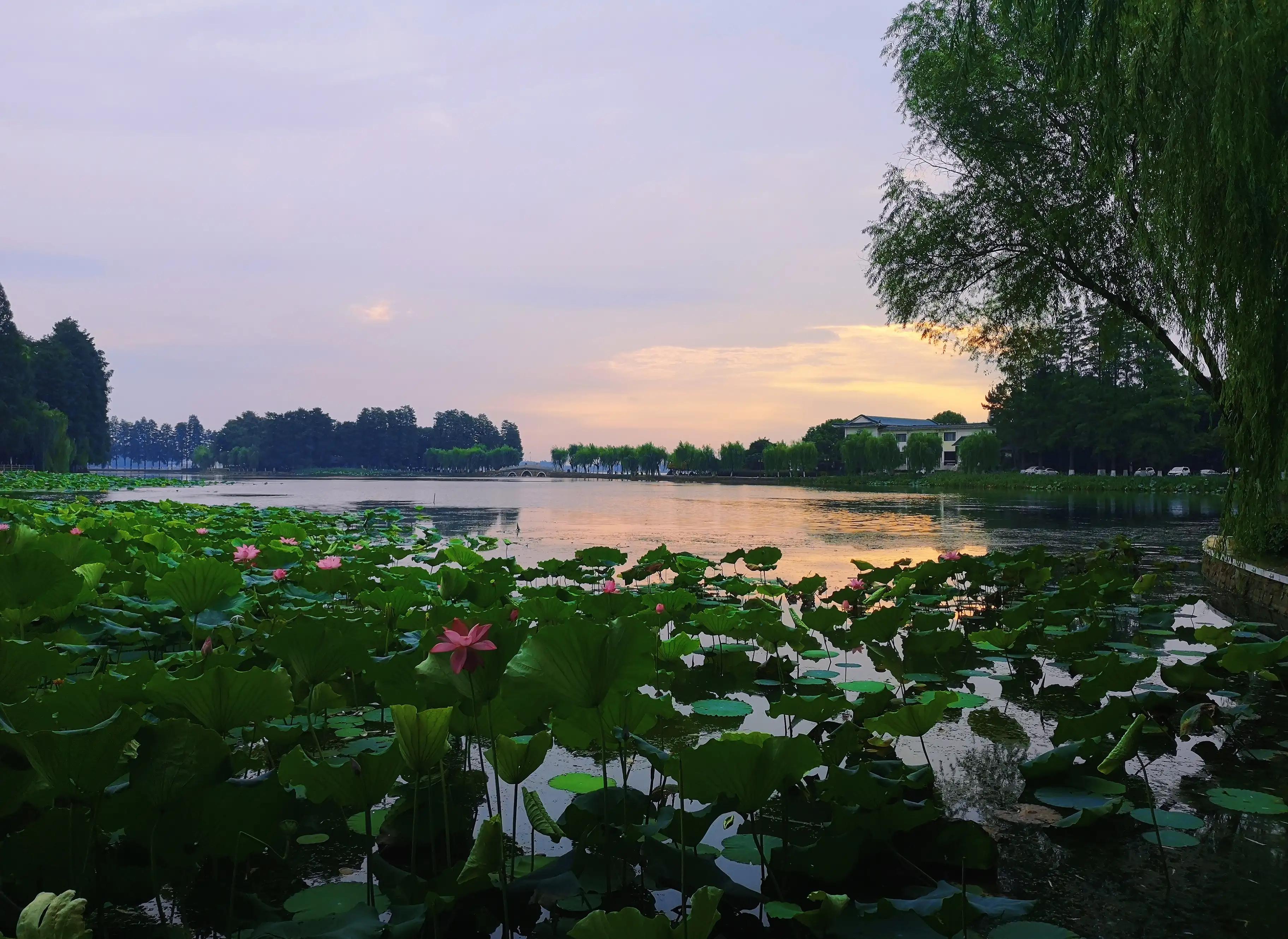 两岁读诗出口成章（天才养成计划之一）