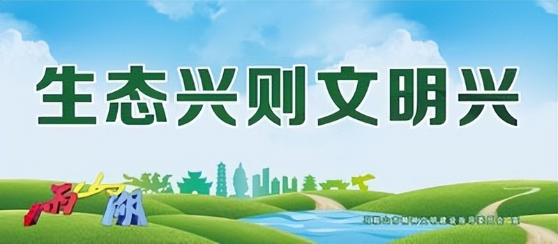 多元共治生态治理模式,多元共治的生态治理模式