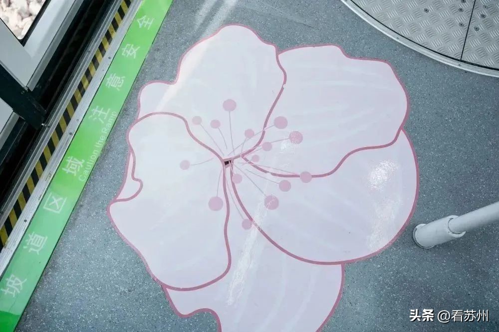 苏州赏花的地方,苏州三月中旬赏花去处