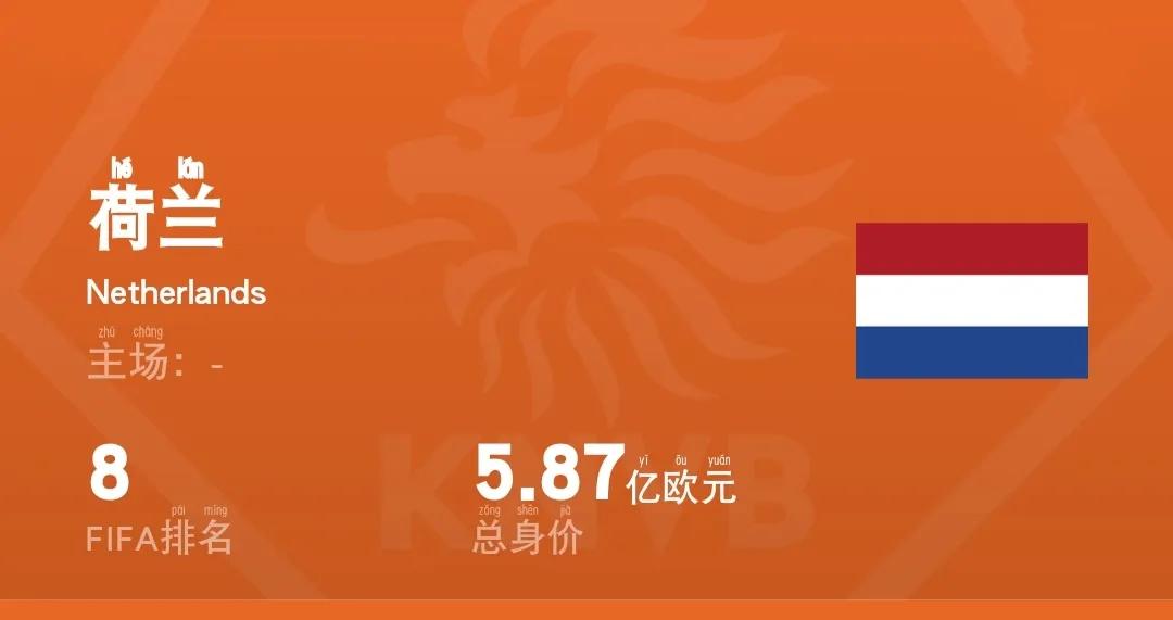 阿根廷卡塔尔世界杯26人名单身价,卡塔尔世界杯身价排名第一