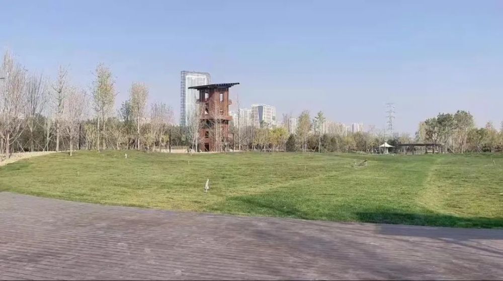 保定最好玩的室内游乐园不超过100,保定适合儿童的游乐