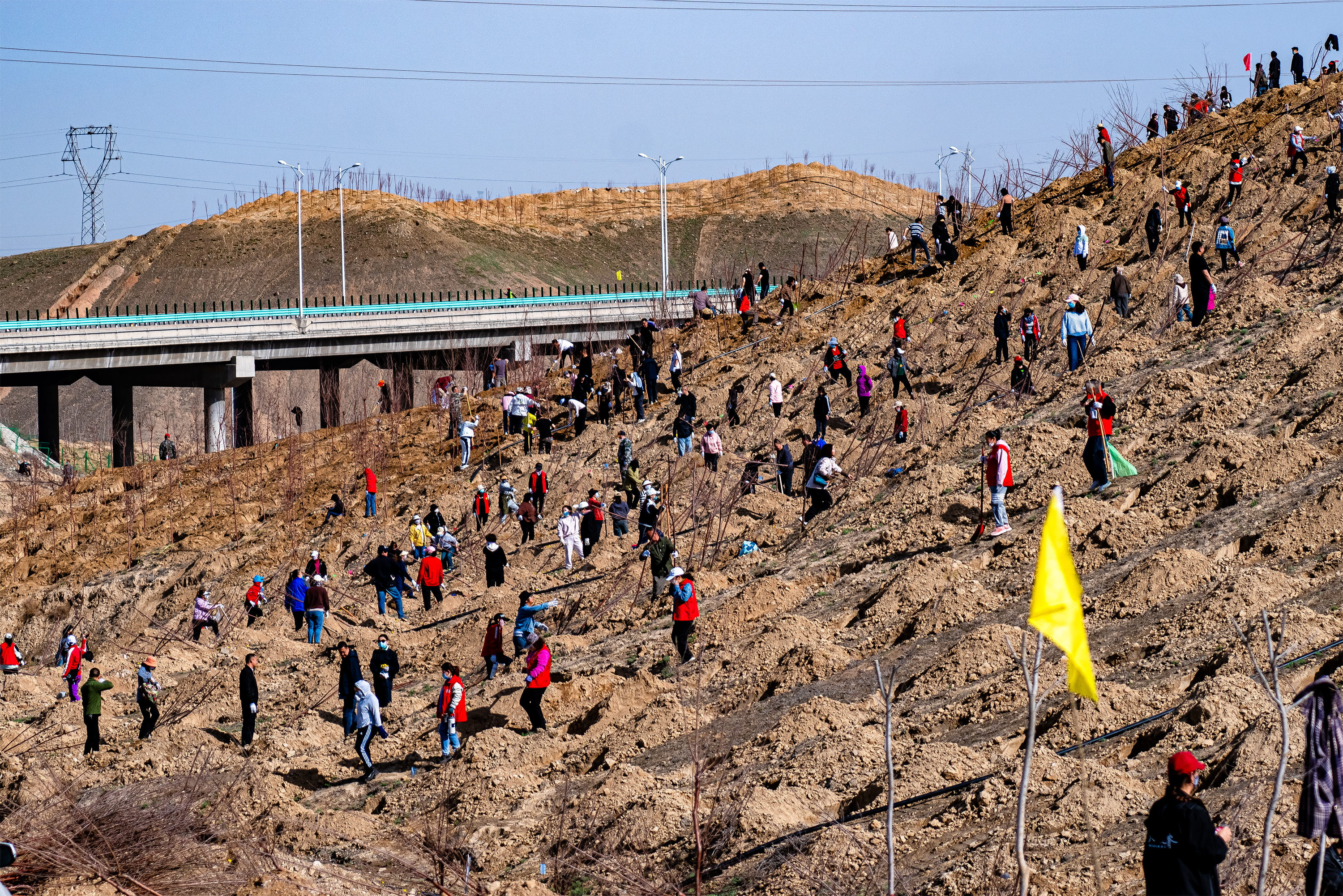 春季植绿正当时米东区再添380亩新绿