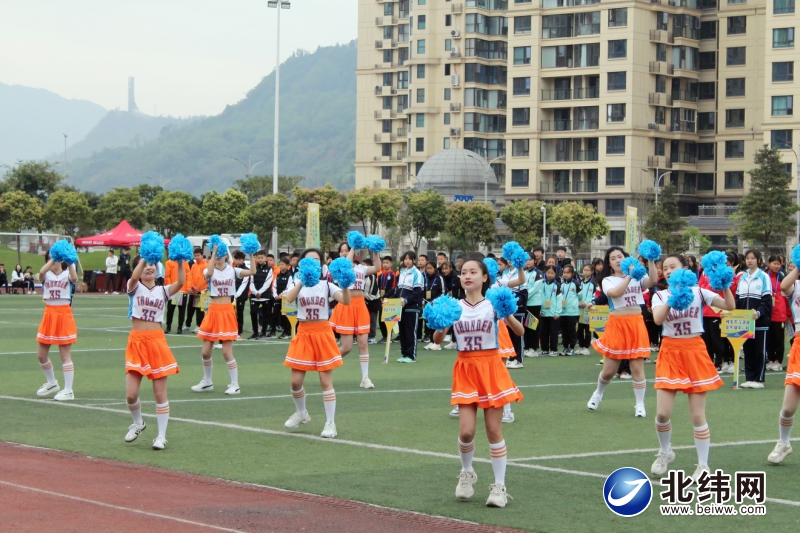 英姿飒爽绿茵场足球赛,小小绿茵场放飞足球梦