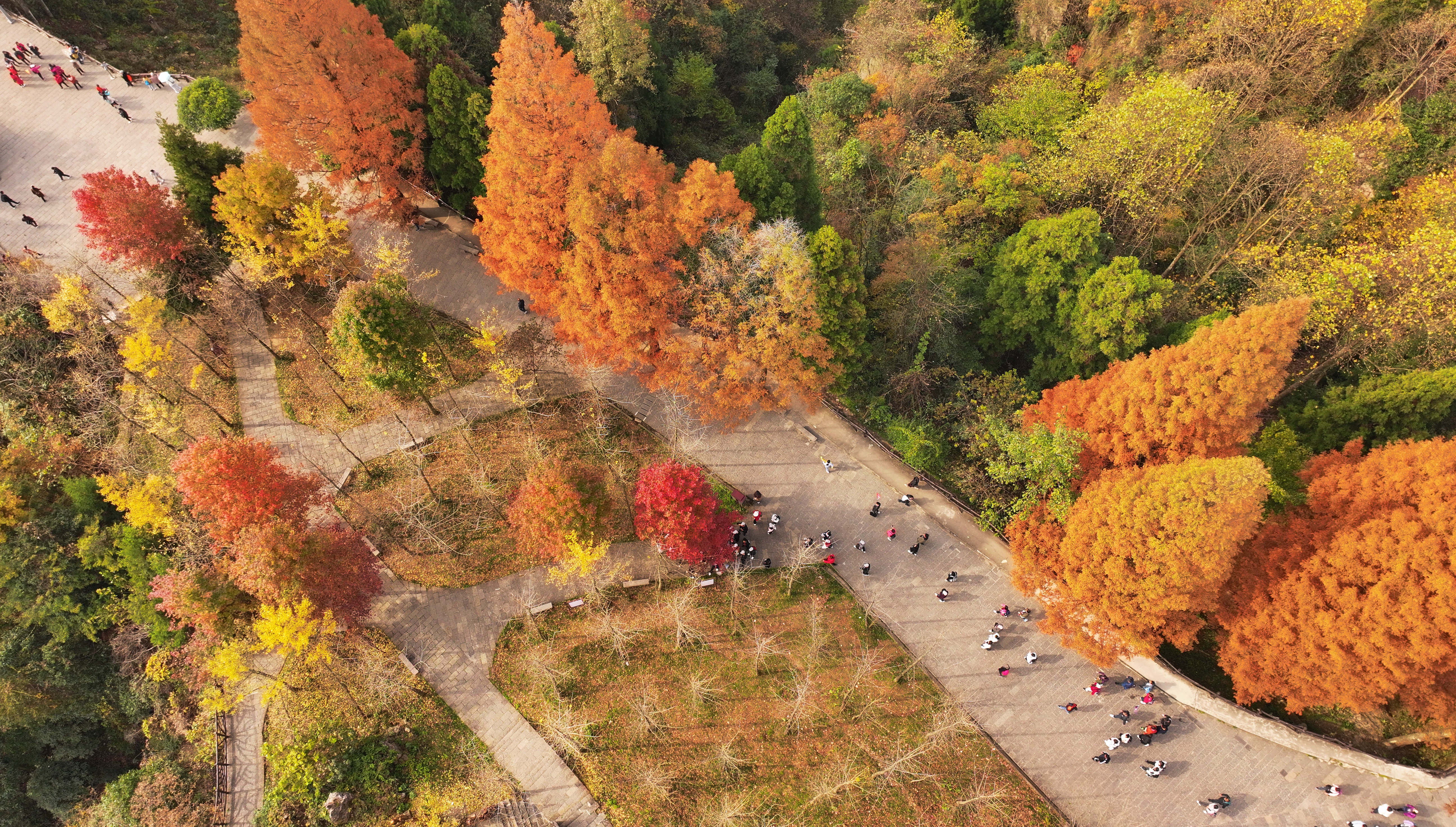 寒冷冬天美景如画,环境美景欣赏