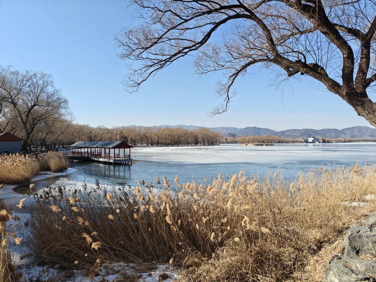 oneplus一加ace3,一加ace3