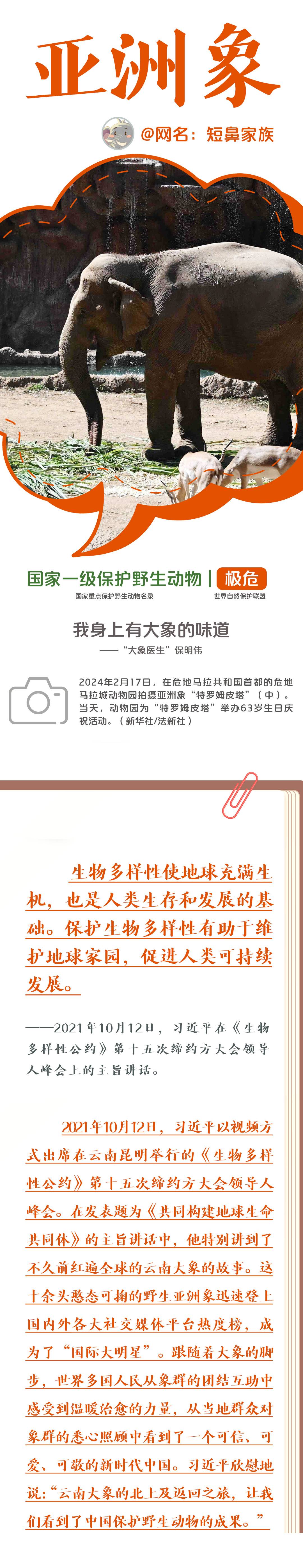 大熊猫的朋友圈,大熊猫朋友圈