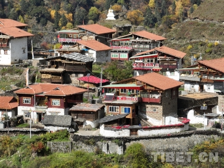 田野调查过程,田野调查完整视频