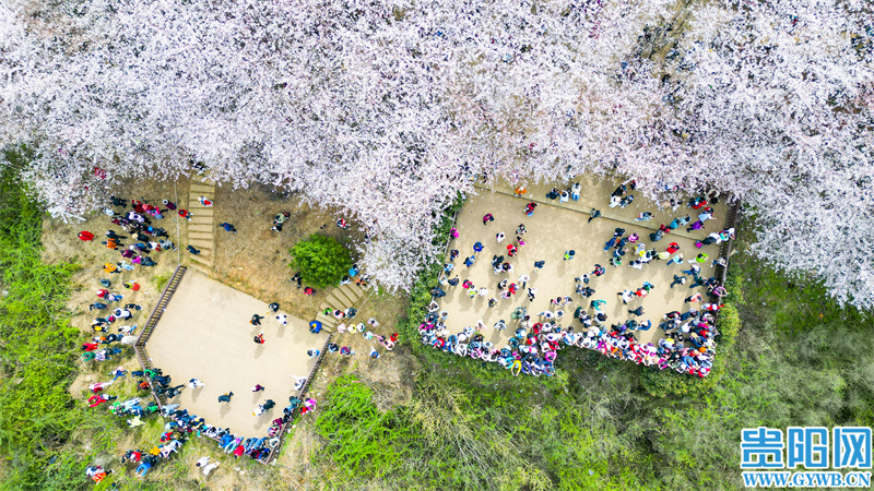 多彩贵州花漾中国走进黔西南,多彩贵州花漾中国兴义