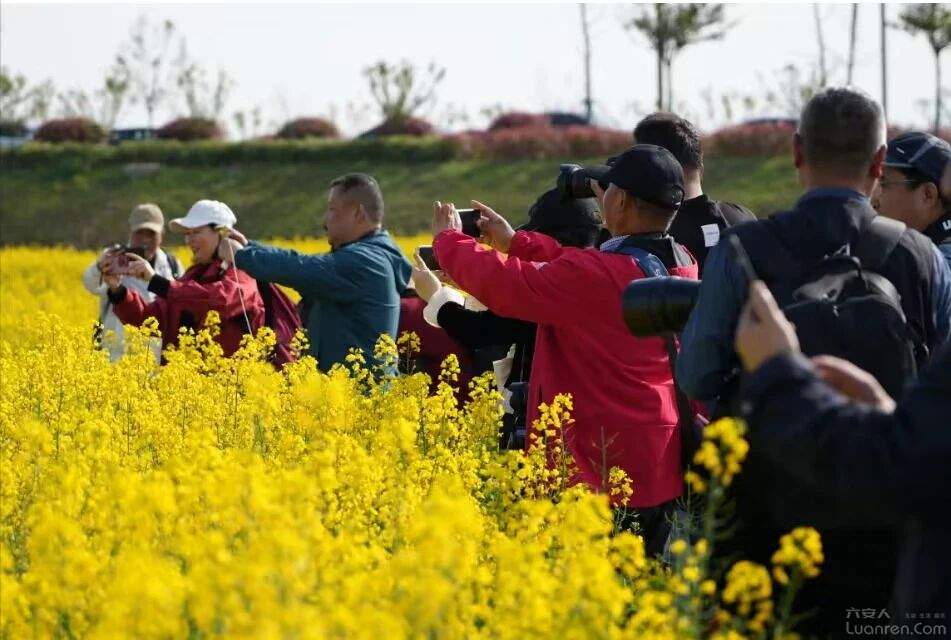 坐上开往春天的小火车,踏上开往春天的火车