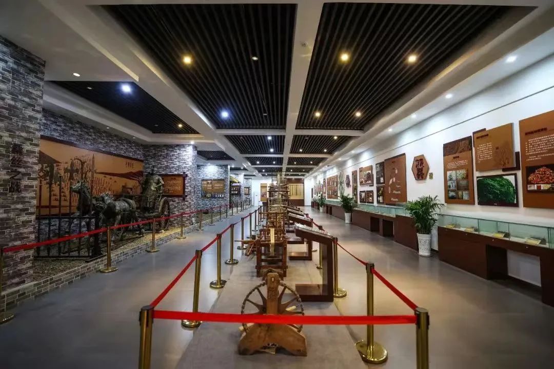 免费！半价！南漳的“爱”给特别的“她”