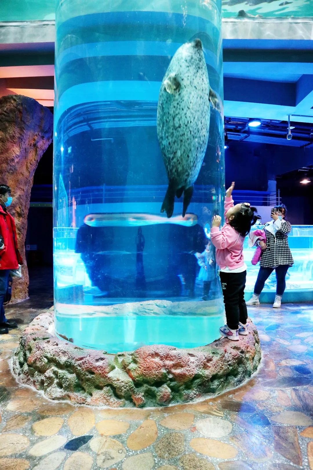 哈报与哈尔滨极地公园联手献爱心丨让孤独症儿童与白鲸亲密接触，点亮心灵之光