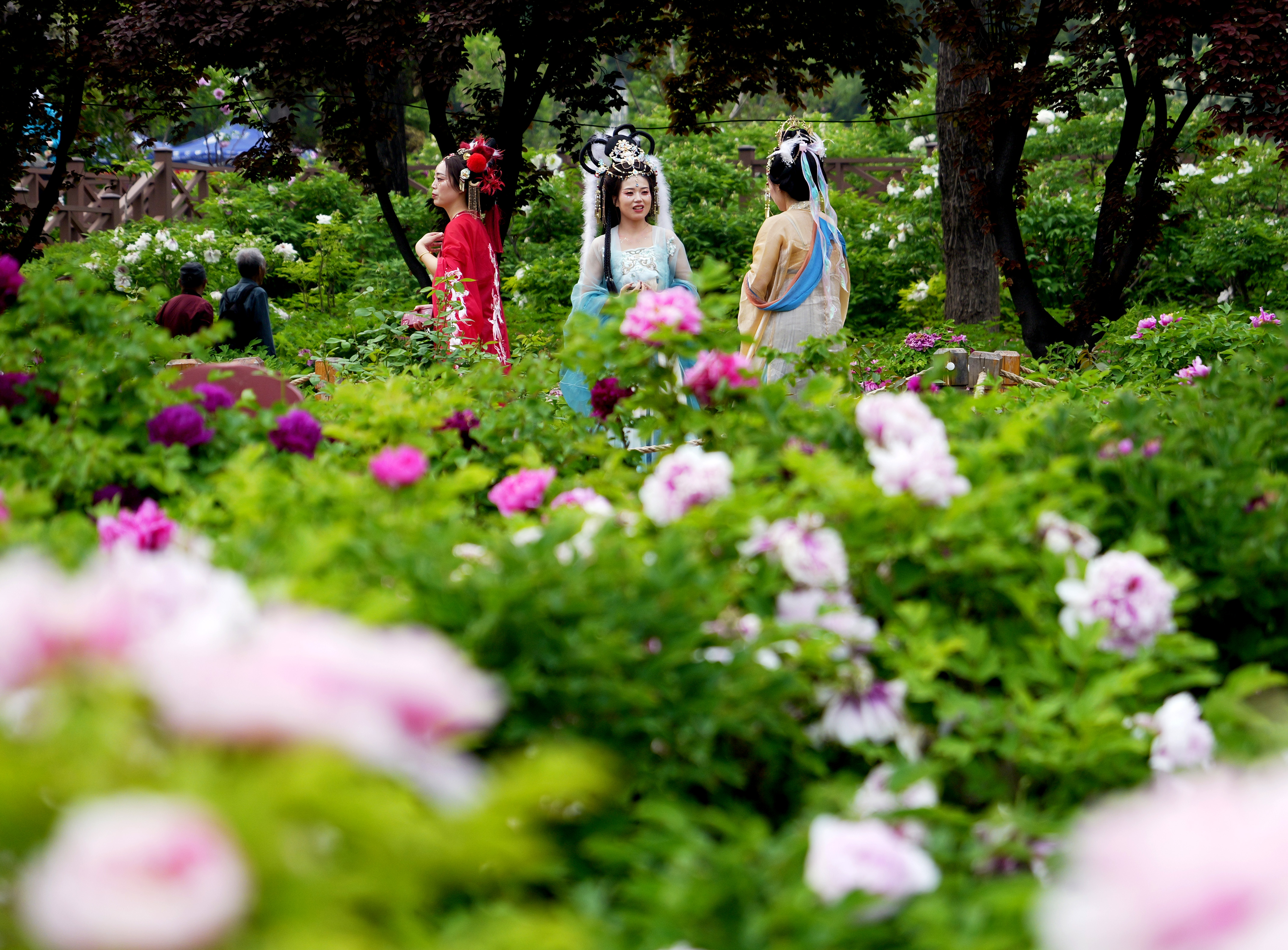 疑是洛川神女作书法,疑是洛川神女作的解释