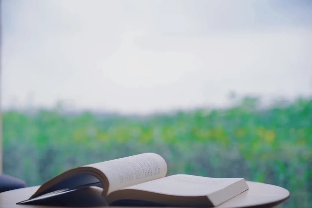 “i人”or“e人”？MBTI充电指南来袭，在华新尽情做自己！