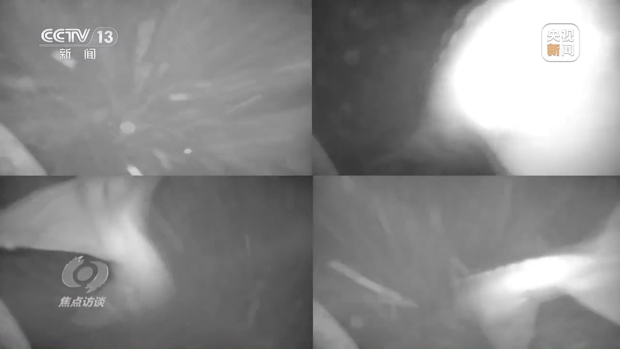 长江禁渔后鱼产卵,长江禁渔期专访