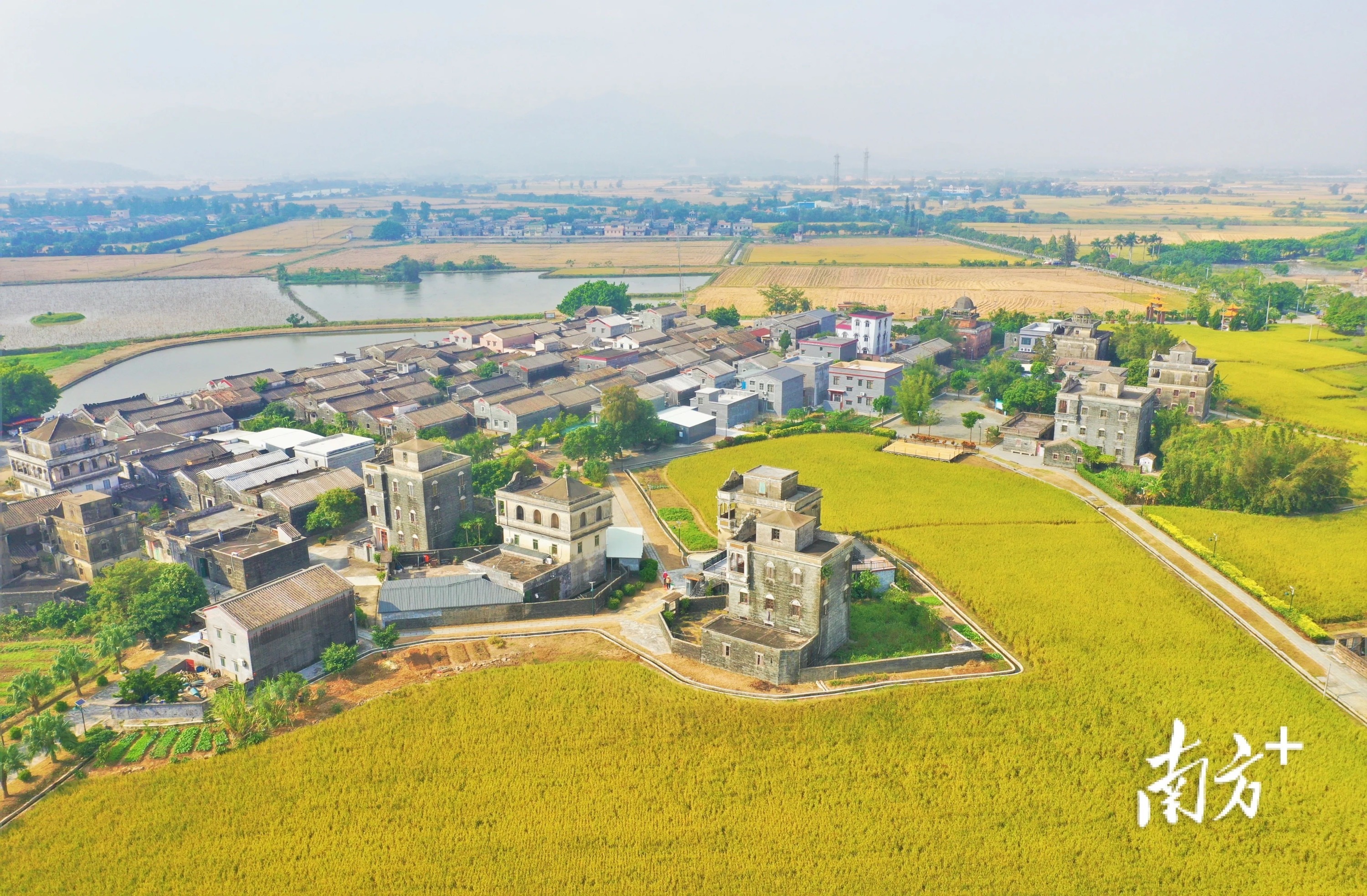 瑙鲁台山,瑙鲁总统将访问中国