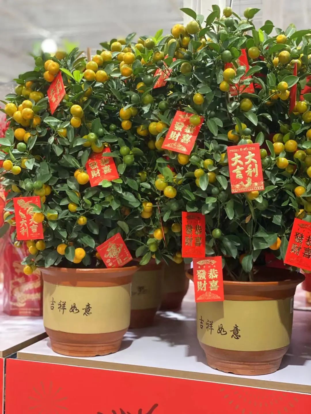 深圳人人购物广场在哪里,深圳人人购物店