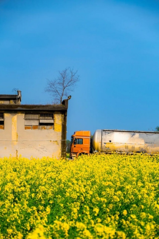 带孩子五日游经典线路推荐,带孩子自驾游4-5推荐路线