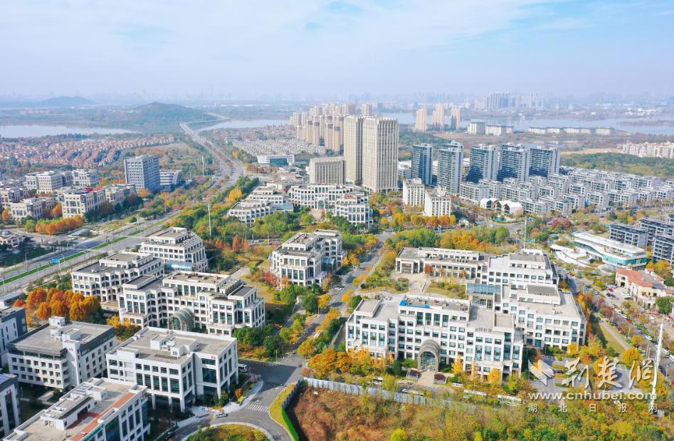 加快打造新兴产业集聚地,加快创新创业产业园区建设