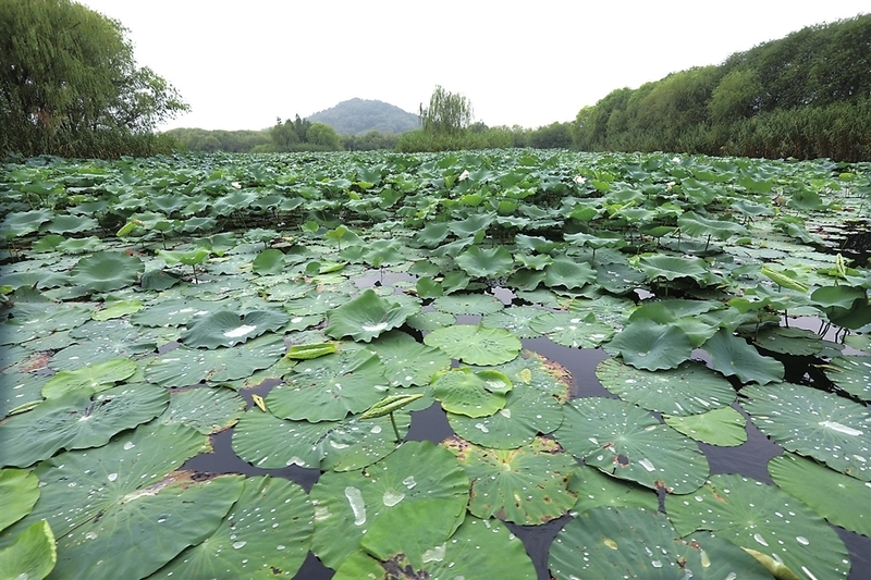 三山岛旅游记,太湖县三山岛
