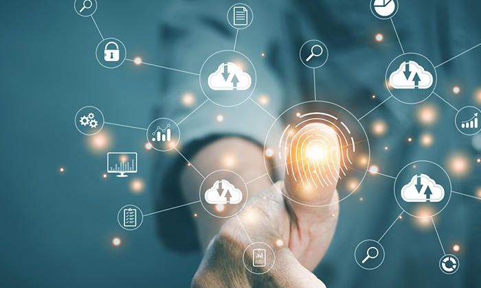 SEO优化与运营,网店运营优化案例