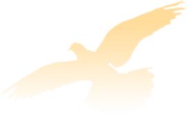 最新通知看牙补贴,马上领取种牙补贴