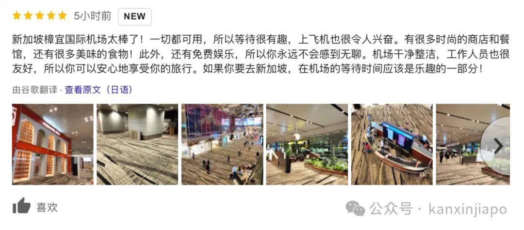 全球最美机场新加坡樟宜机场温度,新加坡樟宜机场和大兴机场哪个大