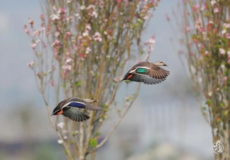 科学家论坛能为腾冲带来什么,腾冲科学家论坛为什么在腾冲召开