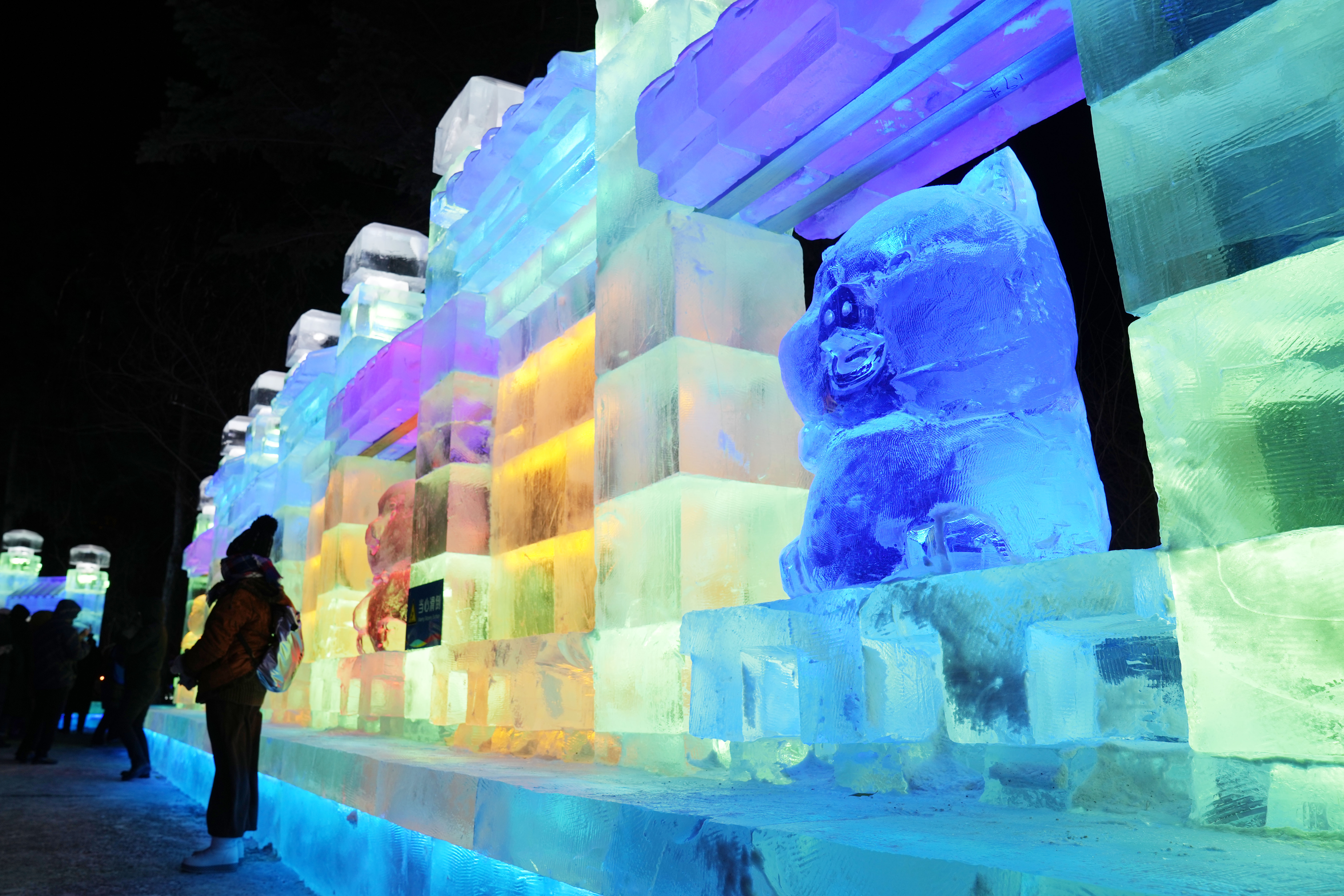 第一届哈尔滨冰灯游园会历史,哈尔滨兆麟公园冰灯游园会