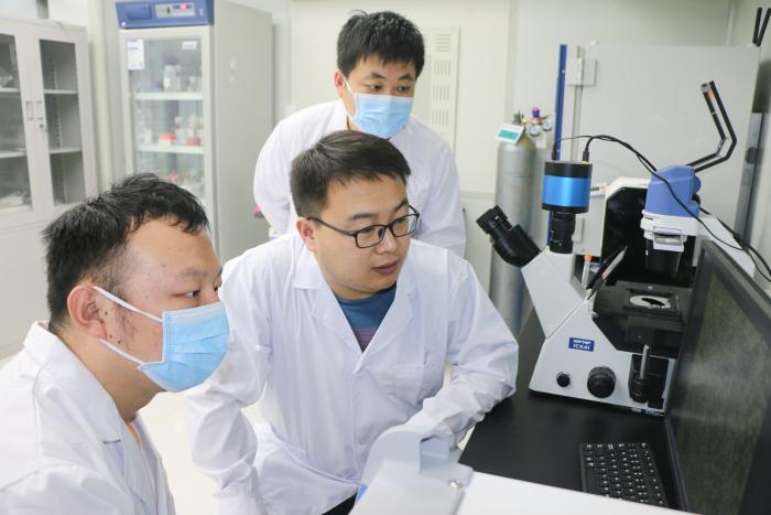 花开沃华医学博士缘何落地滨州结硕果