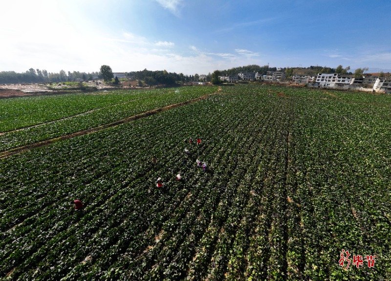 黔货出山山货进城,山货出山土货进城