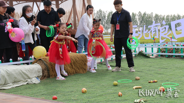 秋日丰景全国秋粮收获已过九成,芦台经济开发区特色