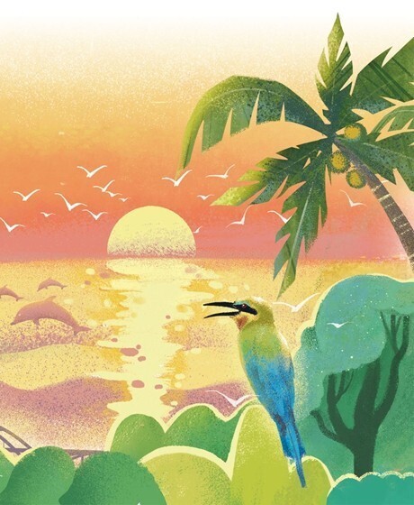 爱拼才会美丽,爱拼才会赢沙鸥