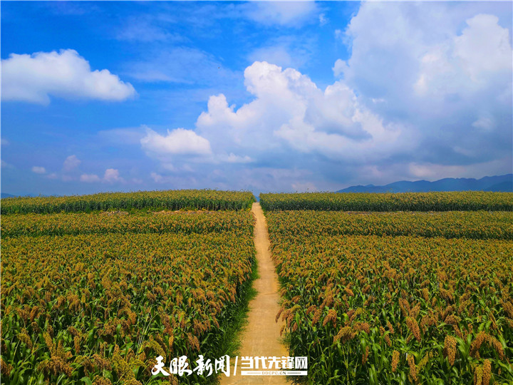 遵义划定的生态保护红线,遵义生态环境保护条例