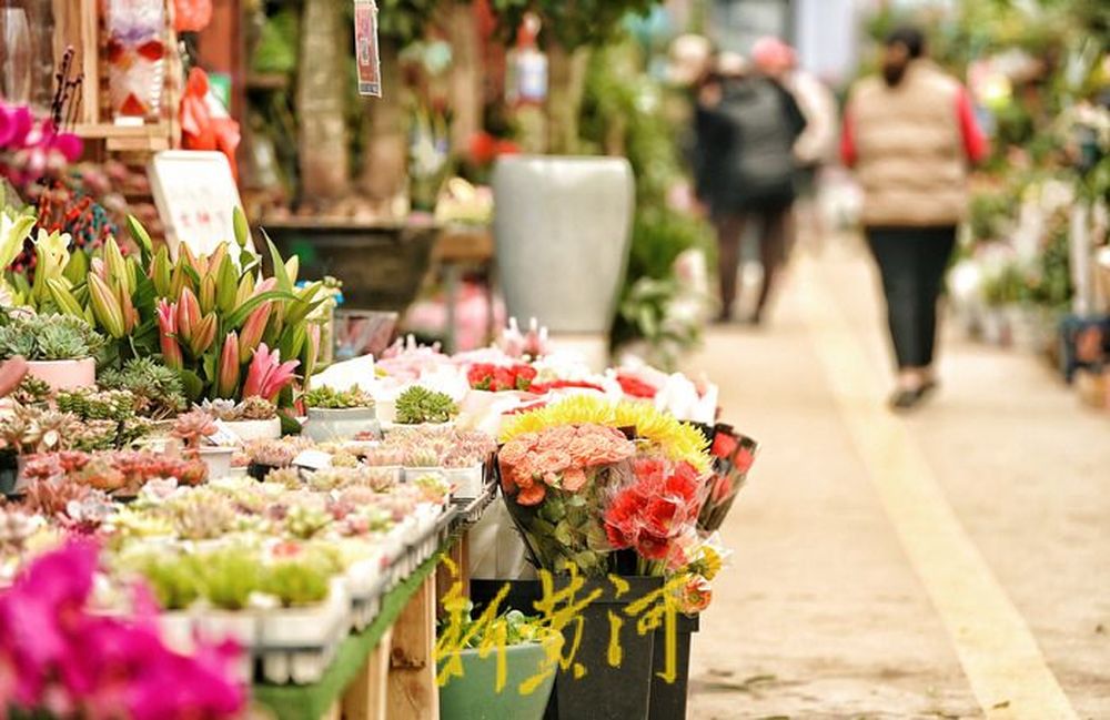 女神节的鲜花市场,女神节鲜花进货