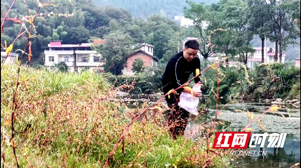 勇挑护水之责做护河治水的忠诚卫士——记邵阳新宁最美护河员李明