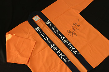 世嘉dreamcast游戏,世嘉dreamcast光驱版