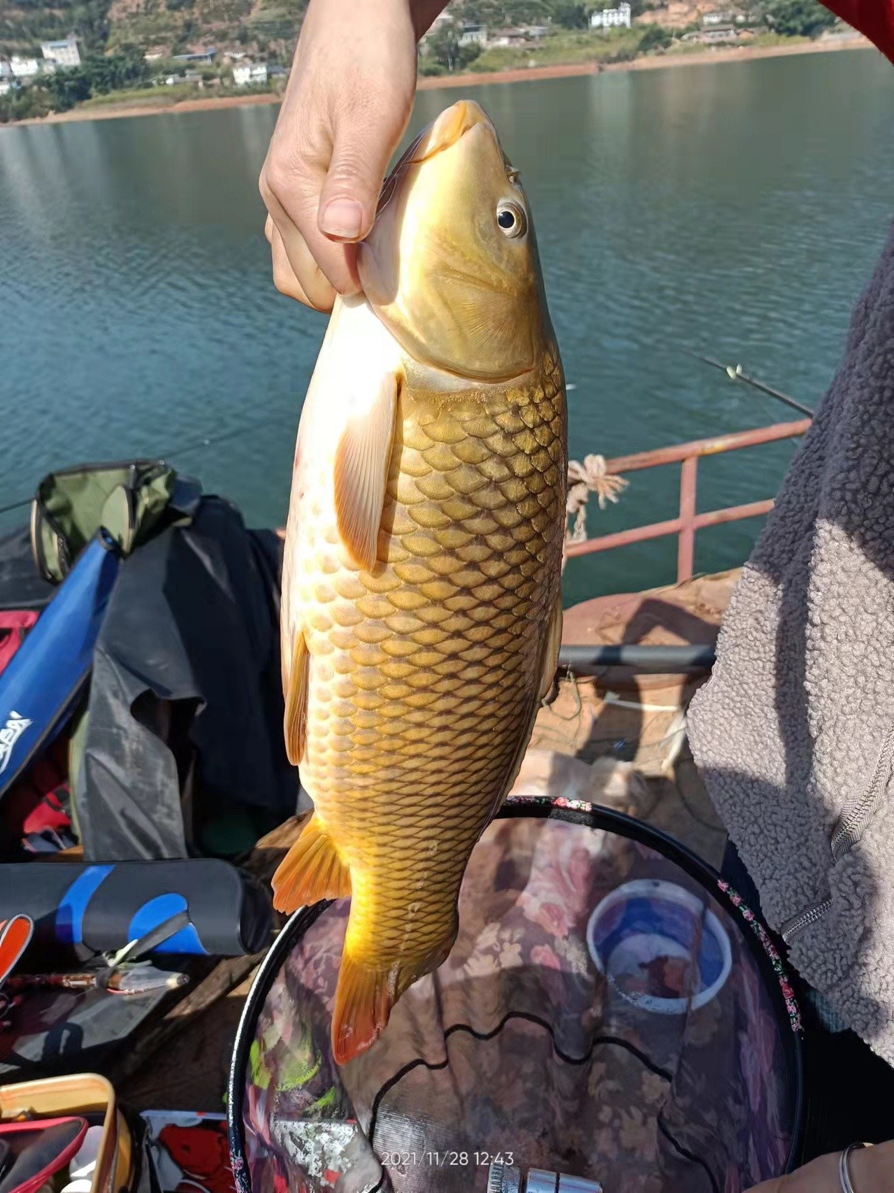 梅子姐这次选了没有打窝的钓位，渔获究竟如何呢